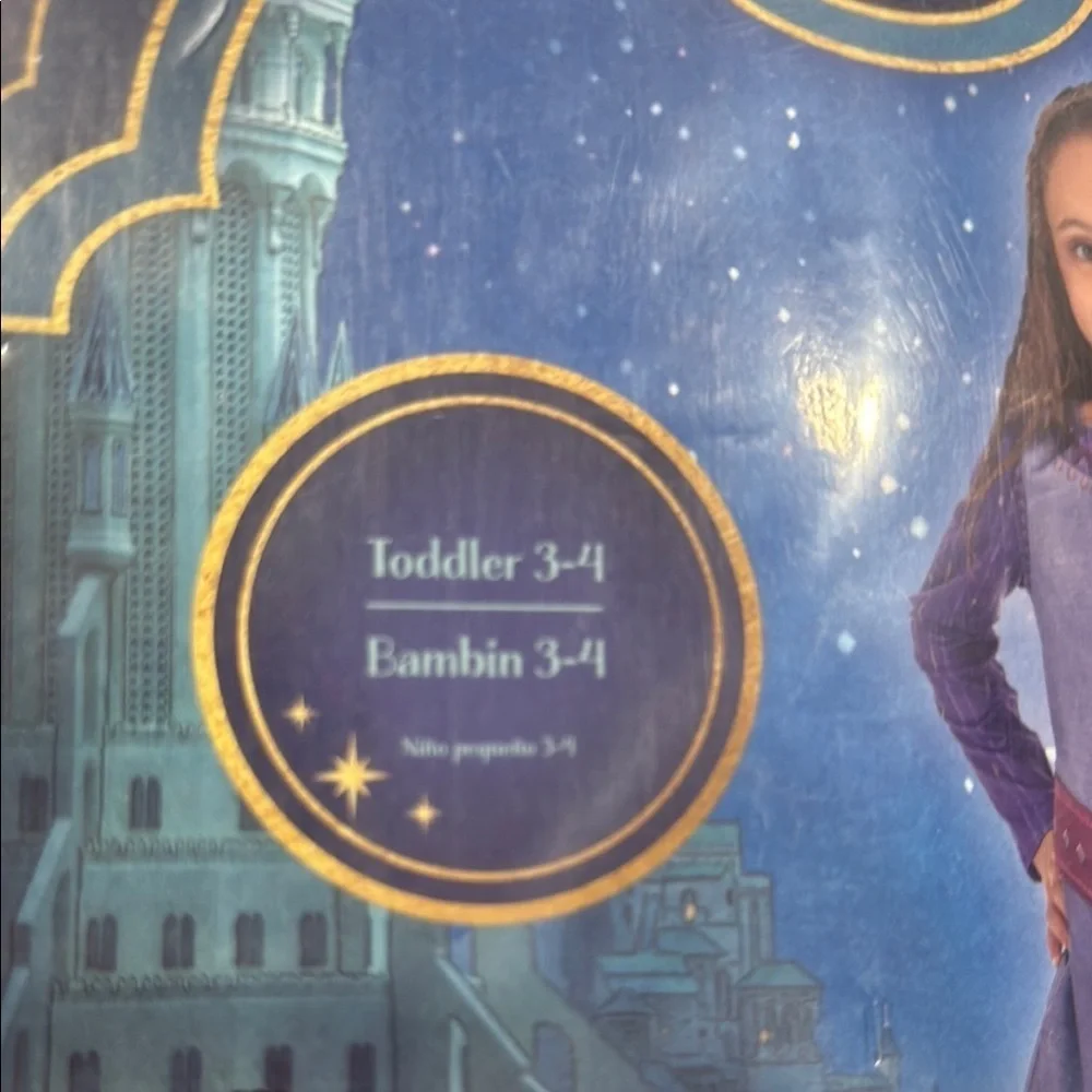 Disney Wish Asha Dress in Purple